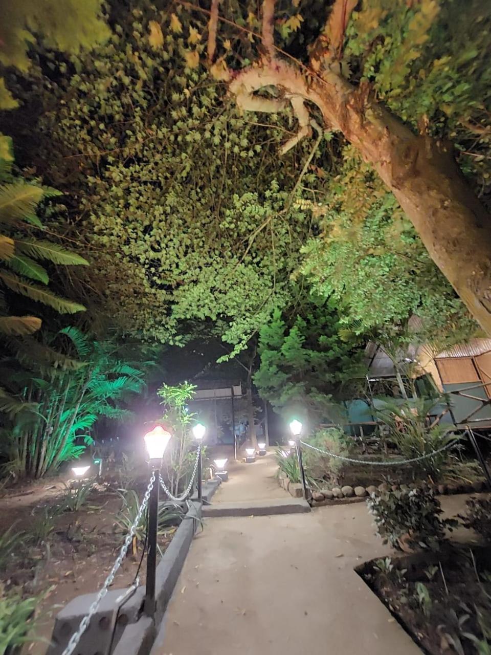 Green Hills Farm And Guest House Masinagudi Εξωτερικό φωτογραφία